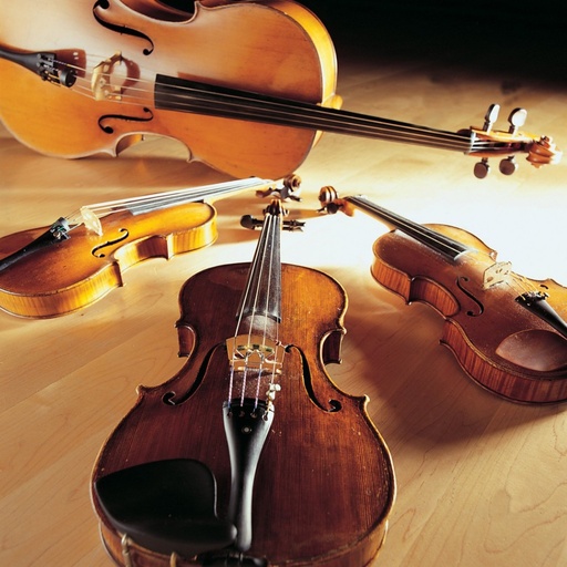 Orquestração Módulo I - Instrumentos de Corda